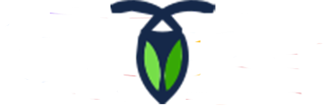 bug